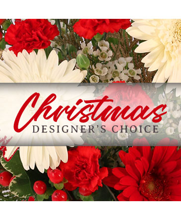 Christmas Designer's Choice Flower Arrangement in Maryville, TN | HARTMAN'S FLOWERS