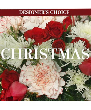 Christmas Flower Arrangement Designer's Choice in Maryville, TN | HARTMAN'S FLOWERS & GIFTS