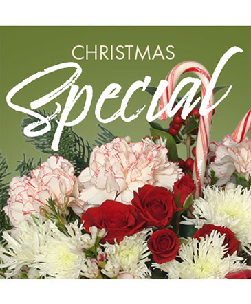 Christmas Special Designer's Choice in Maryville, TN | HARTMAN'S FLOWERS