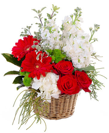 Crimson & Ivory Basket Arrangement in Maryville, TN | HARTMAN'S FLOWERS